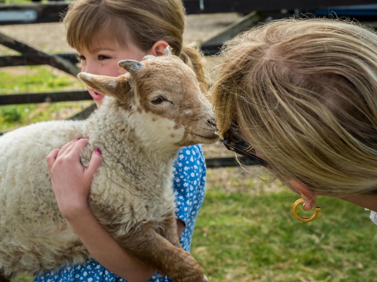 Willa Crabtree Farm - South Stable Ashford  Zewnętrze zdjęcie