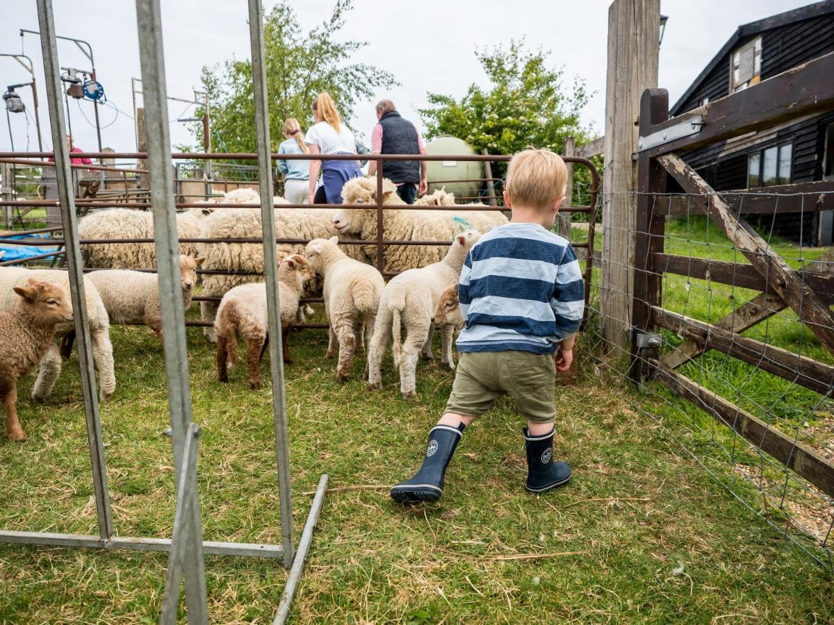 Willa Crabtree Farm - South Stable Ashford  Zewnętrze zdjęcie